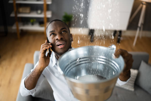 Best Water damage contractors near me  in North Charleroi, PA