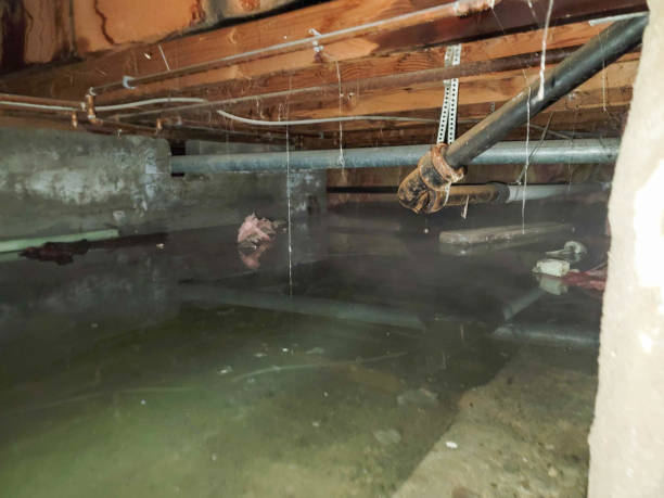 Best Fire Damage Restoration  in North Charleroi, PA
