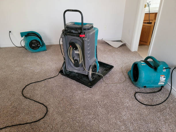Best Basement water damage restoration  in North Charleroi, PA