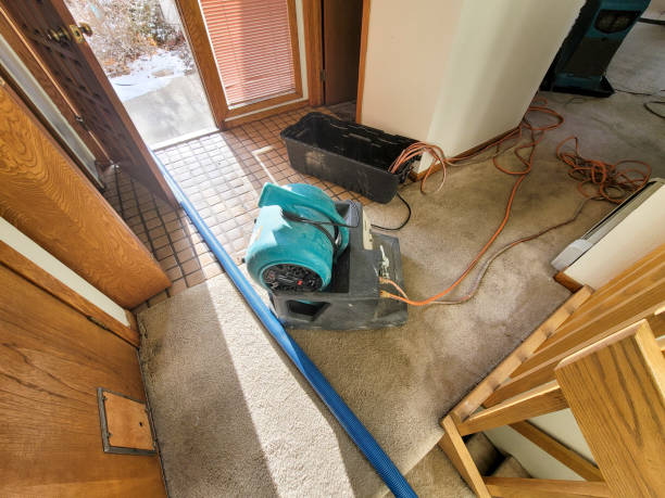 Best Flooded house restoration  in North Charleroi, PA