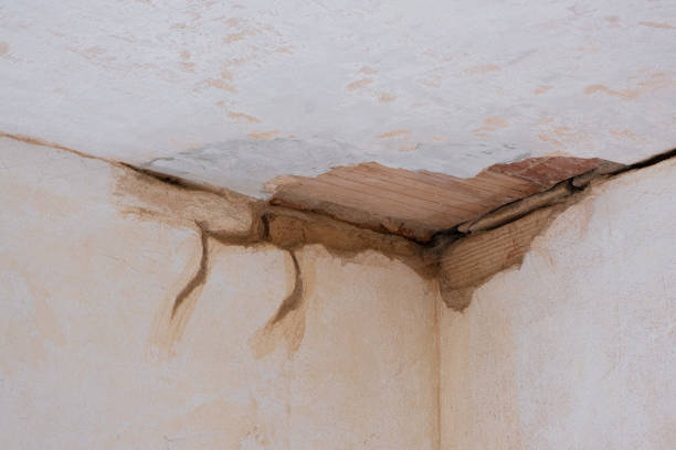 Best Ceiling water damage repair  in North Charleroi, PA