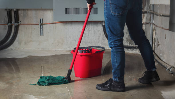 Best Sewage cleanup and water damage restoration  in North Charleroi, PA