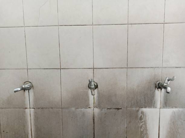 Best Fire Damage Restoration  in North Charleroi, PA