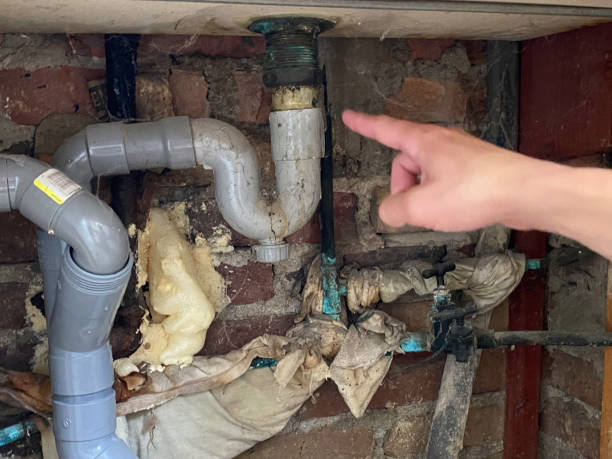 Best Residential water damage restoration  in North Charleroi, PA