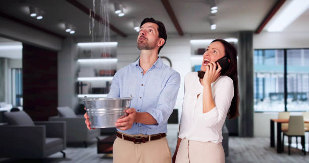 Best Professional water damage repair  in North Charleroi, PA