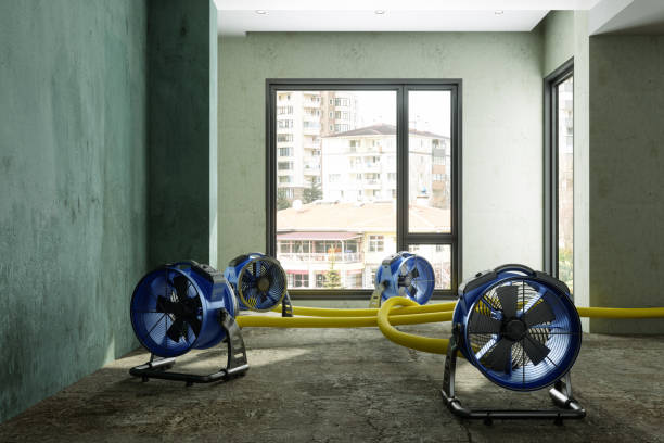  North Charleroi, PA Water damage restoration Pros