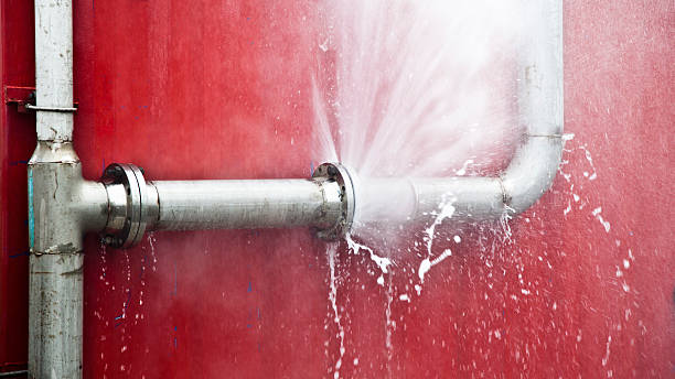 Water damage restoration mold remediation in North Charleroi, PA