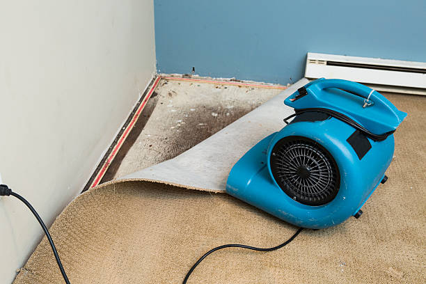 Best Water damage contractors near me  in North Charleroi, PA